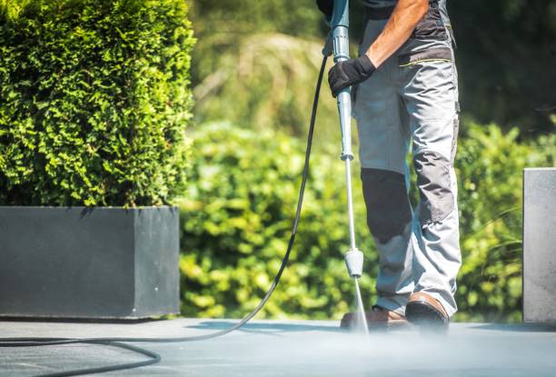 Best Sidewalk and Walkway Cleaning  in Concord, MI